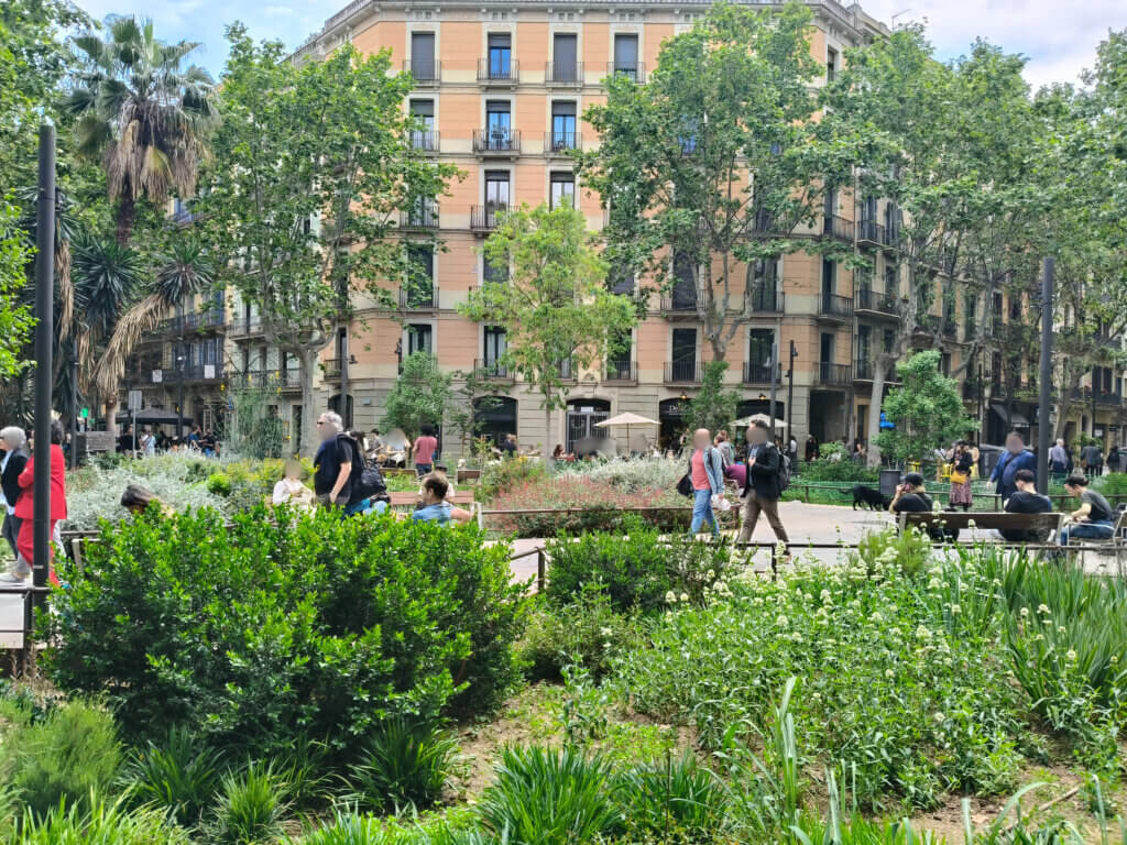 Green public space with flowers in the foreground, benches and a building in the background