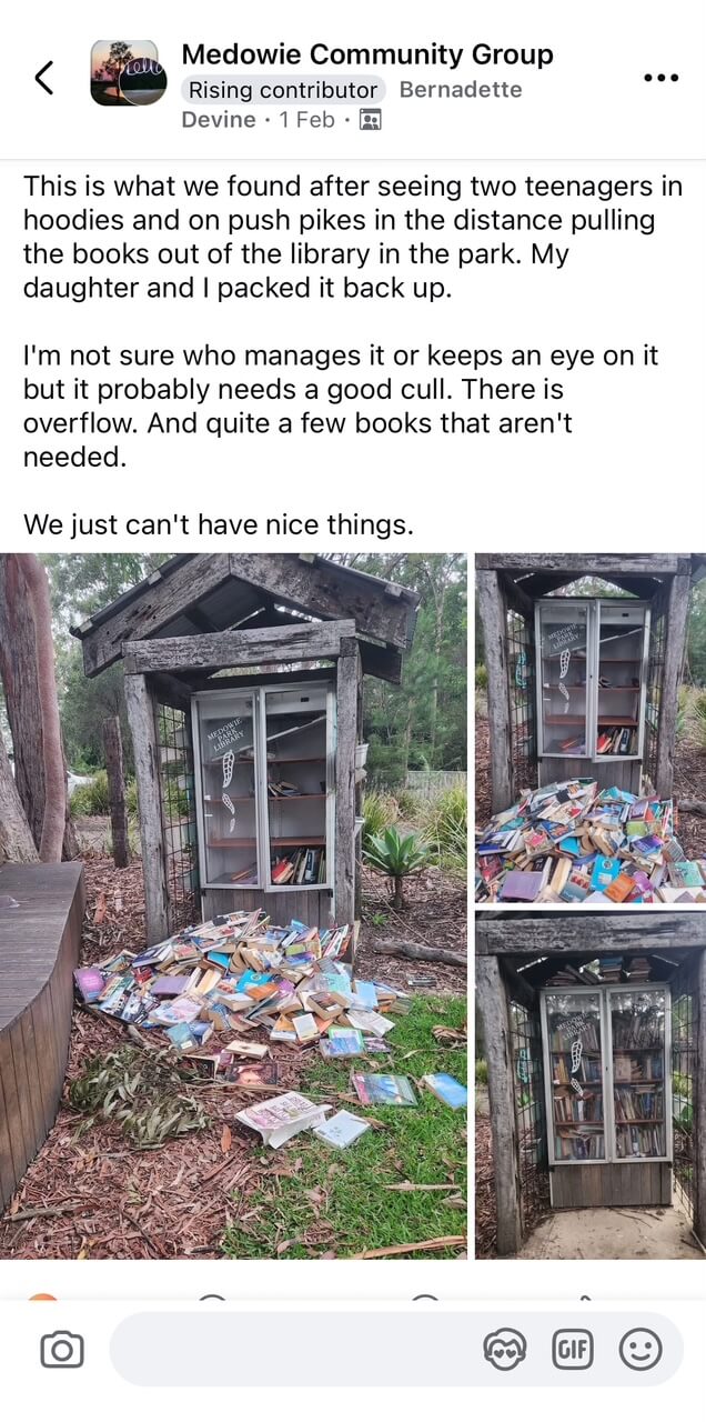 Facebook post from Medowie Community Group
Rising contributor Bernadette
Devine, 1 Feb
Saying" This is what we found after seeing two teenagers in hoodies and on push pikes in the distance pulling the books out of the library in the park. My daughter and I packed it back up.
I'm not sure who manages it or keeps an eye on it but it probably needs a good cull. There is overflow. And quite a few books that aren't needed.
We just can't have nice things."

Above a post of damaged and tagged street library with all the books pulled out in a big pile below.